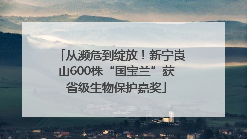 从濒危到绽放！新宁崀山600株“国宝兰”获省级生物保护嘉奖