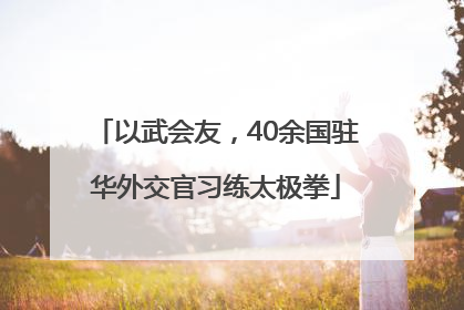 以武会友，40余国驻华外交官习练太极拳