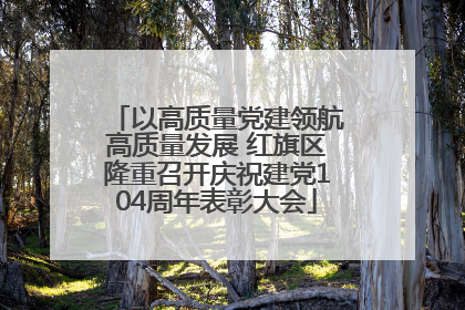 以高质量党建领航高质量发展 红旗区隆重召开庆祝建党104周年表彰大会