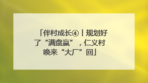 伴村成长④丨规划好了“满盘赢”，仁义村唤来“大厂”回