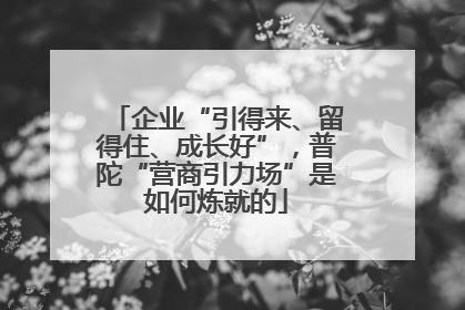 企业“引得来、留得住、成长好”，普陀“营商引力场”是如何炼就的