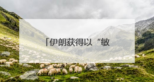 伊朗获得以“敏感文件” 消息人士称行动由被招募以定居者完成