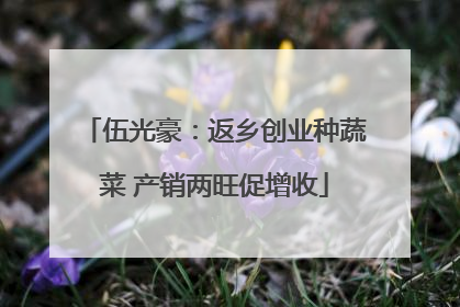 伍光豪：返乡创业种蔬菜 产销两旺促增收