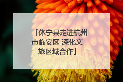 休宁县走进杭州市临安区 深化文旅区域合作