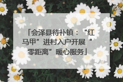 会泽县待补镇：“红马甲”进村入户开展“零距离”暖心服务