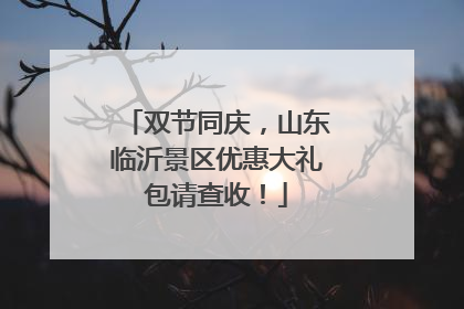 双节同庆，山东临沂景区优惠大礼包请查收！