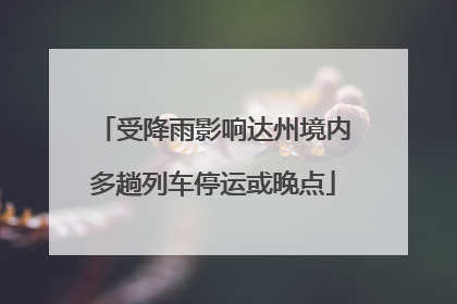 受降雨影响达州境内多趟列车停运或晚点
