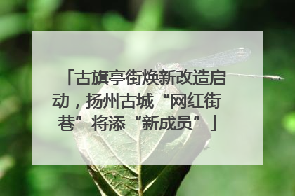 古旗亭街焕新改造启动，扬州古城“网红街巷”将添“新成员”