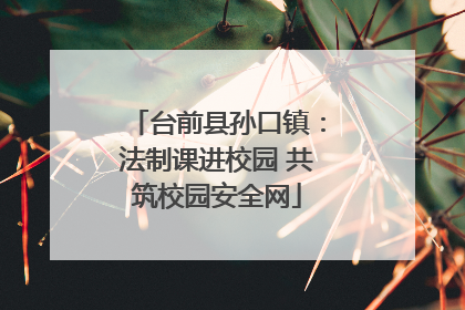 台前县孙口镇：法制课进校园 共筑校园安全网