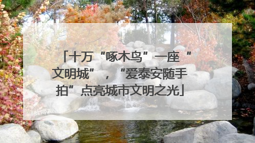 十万“啄木鸟”一座“文明城”，“爱泰安随手拍”点亮城市文明之光