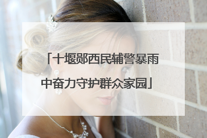 十堰郧西民辅警暴雨中奋力守护群众家园
