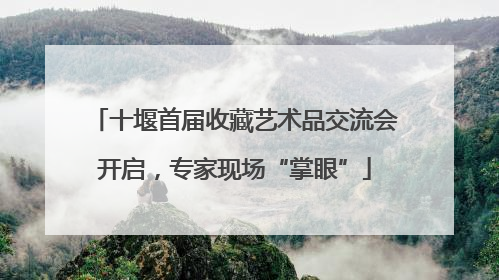 十堰首届收藏艺术品交流会开启，专家现场“掌眼”