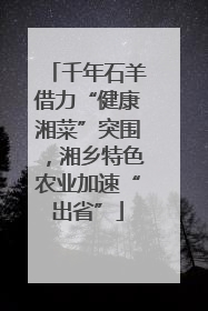 千年石羊借力“健康湘菜”突围，湘乡特色农业加速“出省”