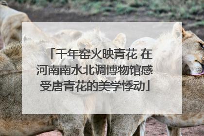 千年窑火映青花 在河南南水北调博物馆感受唐青花的美学悸动