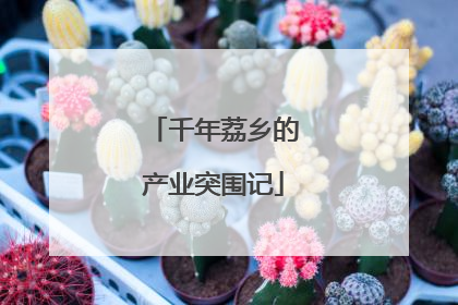 千年荔乡的产业突围记