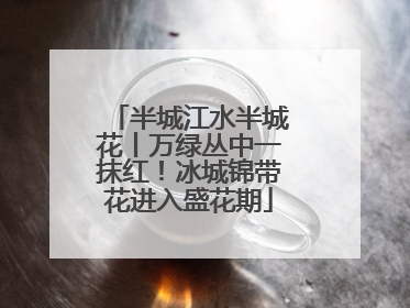 半城江水半城花丨万绿丛中一抹红！冰城锦带花进入盛花期
