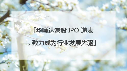 华曦达港股 IPO 递表，致力成为行业发展先驱
