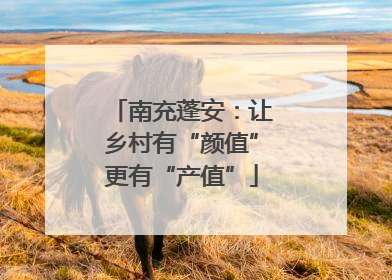 南充蓬安：让乡村有“颜值”更有“产值”