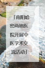 南阳哈密两地医院开展中医学术交流活动
