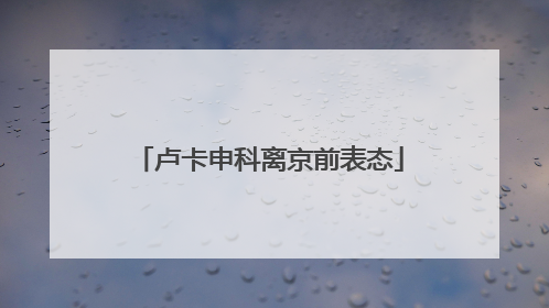 卢卡申科离京前表态