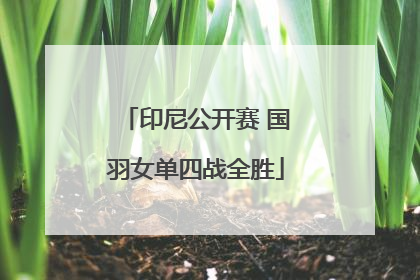 印尼公开赛 国羽女单四战全胜