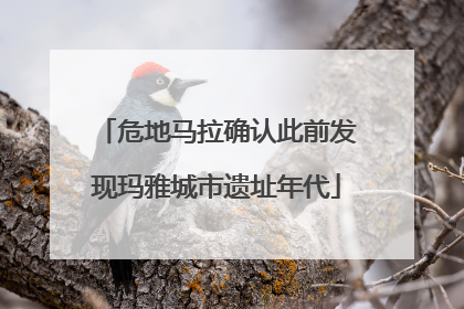 危地马拉确认此前发现玛雅城市遗址年代