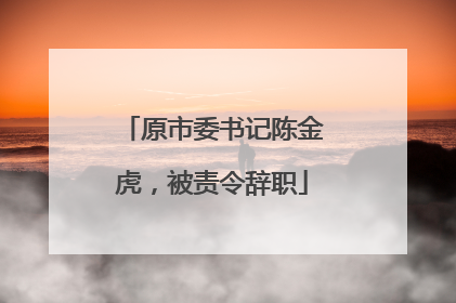 原市委书记陈金虎，被责令辞职