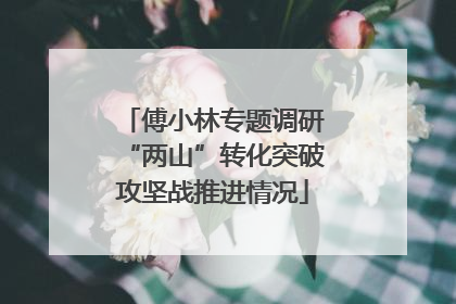 傅小林专题调研“两山”转化突破攻坚战推进情况
