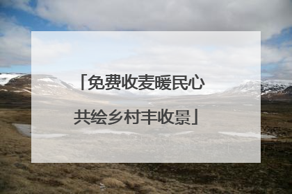 免费收麦暖民心 共绘乡村丰收景