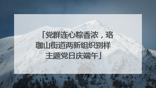 党群连心粽香浓，珞珈山街道两新组织别样主题党日庆端午