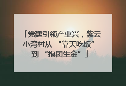 党建引领产业兴，紫云小湾村从 “靠天吃饭” 到 “抱团生金”