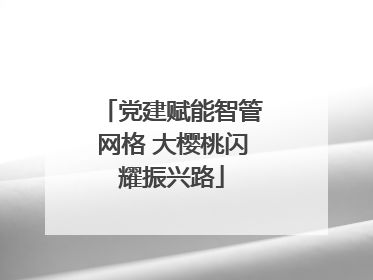党建赋能智管网格 大樱桃闪耀振兴路