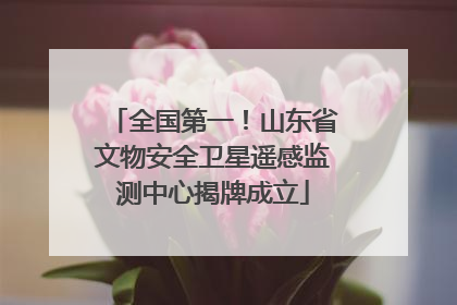 全国第一！山东省文物安全卫星遥感监测中心揭牌成立