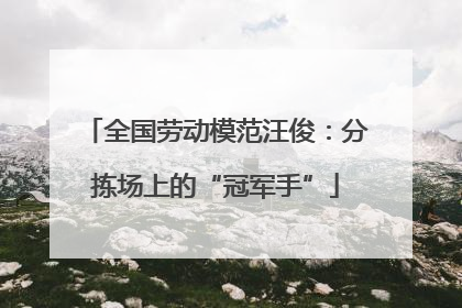 全国劳动模范汪俊：分拣场上的“冠军手”