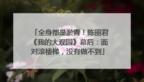 全身都是淤青！陈丽君《我的大观园》幕后：面对滚楼梯，没有做不到