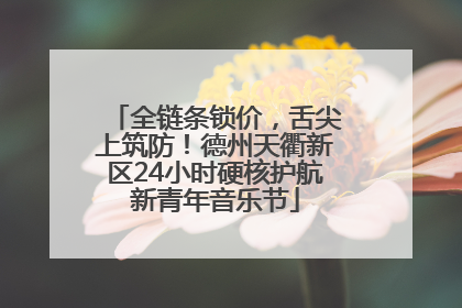 全链条锁价，舌尖上筑防！德州天衢新区24小时硬核护航新青年音乐节