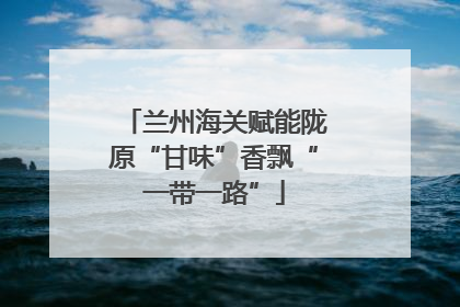 兰州海关赋能陇原“甘味”香飘“一带一路”