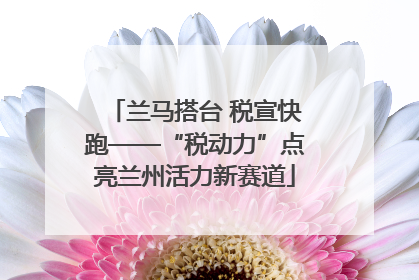 兰马搭台 税宣快跑——“税动力”点亮兰州活力新赛道
