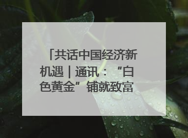 共话中国经济新机遇｜通讯：“白色黄金”铺就致富路——中国技术助力科特迪瓦橡胶产业增产增效