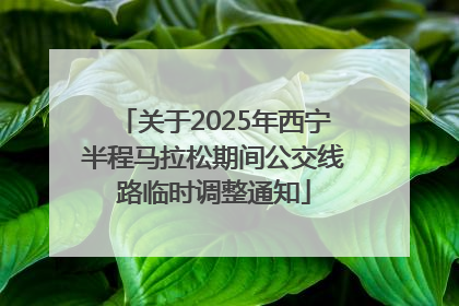 关于2025年西宁半程马拉松期间公交线路临时调整通知