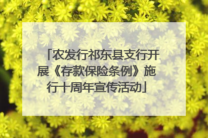 农发行祁东县支行开展《存款保险条例》施行十周年宣传活动