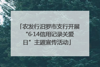 农发行汨罗市支行开展“6·14信用记录关爱日”主题宣传活动