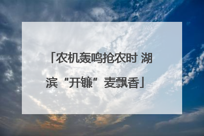 农机轰鸣抢农时 湖滨“开镰”麦飘香