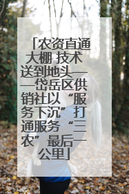 农资直通大棚 技术送到地头——岱岳区供销社以“服务下沉”打通服务“三农”最后一公里