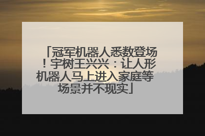 冠军机器人悉数登场！宇树王兴兴：让人形机器人马上进入家庭等场景并不现实