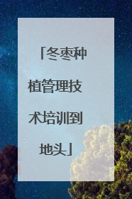冬枣种植管理技术培训到地头