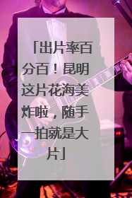 出片率百分百！昆明这片花海美炸啦，随手一拍就是大片