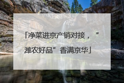 净菜进京产销对接，“潍农好品”香满京华