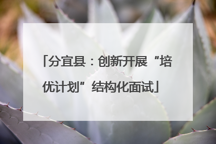 分宜县：创新开展“培优计划”结构化面试