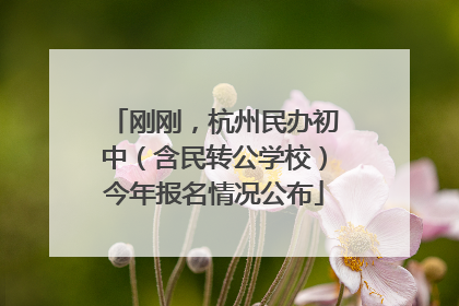 刚刚，杭州民办初中（含民转公学校）今年报名情况公布